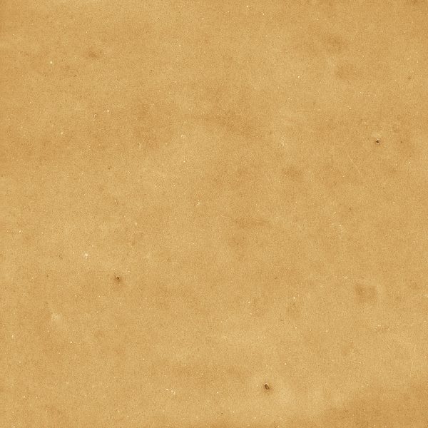 Noha – SQUARE – GOLD – 1040842