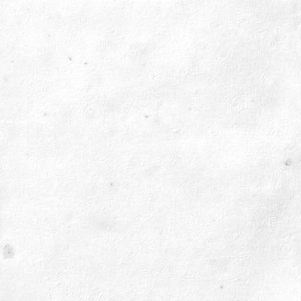 Noha – AFER – WHITE – 1040850