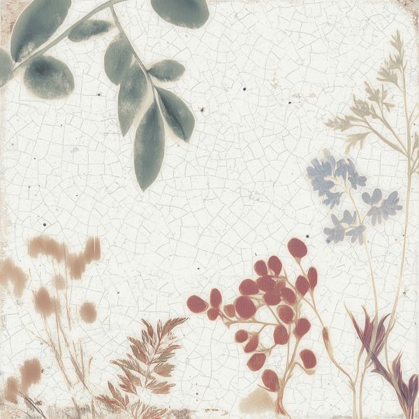 Noha – MAIOLICA – FOREST – 1041826